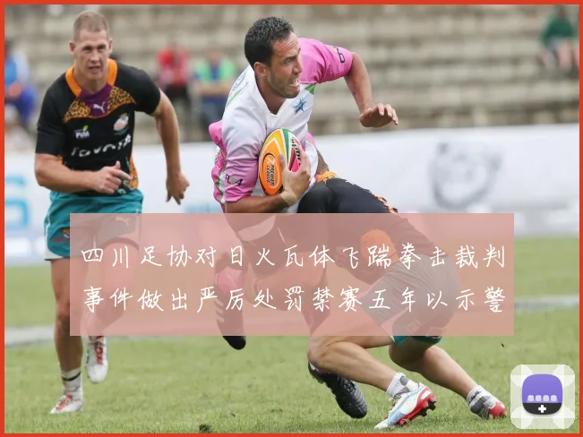 四川足协对日火瓦体飞踹拳击裁判事件做出严厉处罚禁赛五年以示警戒